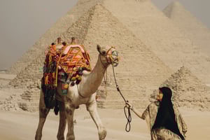 Il Cairo: Giro in cammello delle piramidi di Giza e tour del Museo Egizio
