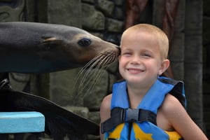 Cozumel: Seelöwenprogramm im Chankanaab Beach Adventure Park