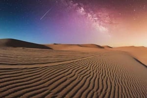 Safari nocturne dans le désert et visite de la mer intérieure
