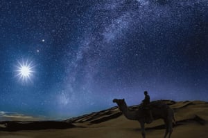 Доха: ночное сафари по пустыне с наблюдением за звездами и прогулкой на верблюдах