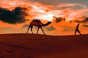 Doha : Safari de nuit & STARGAZING-libre balade à dos de chameau, faucon, quad