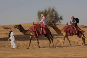 Doha : safari nocturne privé, balade à dos de chameau et barbecue