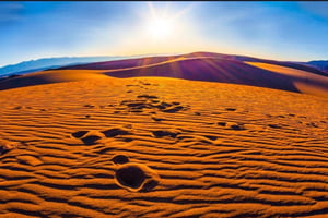 Доха: сафари на рассвете, сэндбординг и внутреннее море