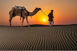 Doha: Wüstensafari bei Sonnenuntergang mit Kamelreiten & Dune-Bashing