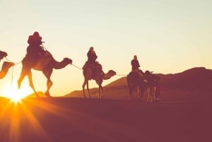 Douz: Przejażdżka na wielbłądzie po pustyni Sahara o zachodzie lub wschodzie słońca