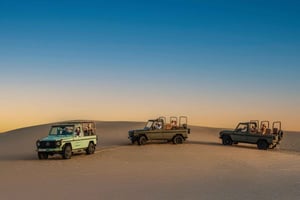 Dubaï : Safari dans l'oasis d'Al Marmoom, repérage des animaux et petit-déjeuner