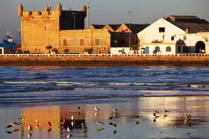 From Casablanca: Day Trip to Essaouira