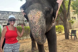 Desde Delhi: Tour al Taj Mahal al amanecer y conservación de elefantes