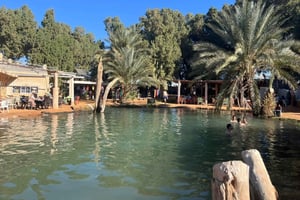De Djerba: Visita ao Oásis de Ksar Ghilane, Saara e Oásis