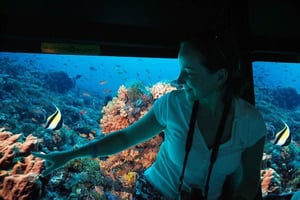 De El Gouna: Submarino Royal Seascope com parada para mergulho com snorkel