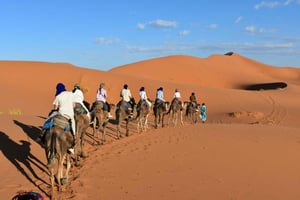 Fra Marrakech: 3-dages Sahara-ørkentur med måltider og lejr