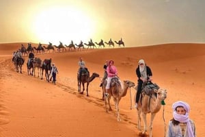 De Merzouga: Caminhada noturna de camelo pelas dunas de Erg Chebbi