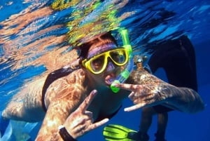 From Sharm: Half day Snorkeling Trip with Lunch