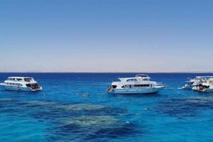 Sharm El-Sheik : Excursion en bateau à fond de verre sur les récifs coralliens