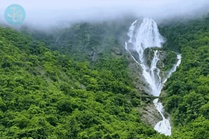 Goa: Cascada de Dudhsagar, Safari en Jeep y Plantación de Especias