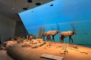Visita guidata: Museo Nazionale e Storia del Qatar