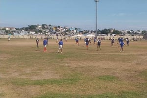 Hermanus: Tour durch die Townships