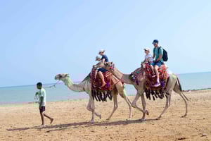 Hurghada: 1-godzinna jazda na wielbłądzie po pustyni i plaży z transferami