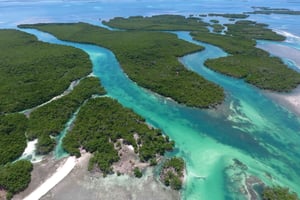 Key West: Eco Safari Sandbar Tour mit Schnorcheln
