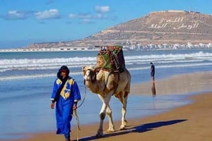 Marrakech : excursion de 3 jours sur la côte à Essaouira et Agadir