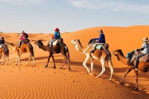 Marrakech: 3-Day Merzouga and Sahara Desert Tour