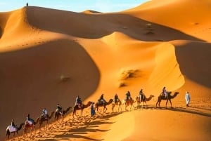 Marrakesz: 3-dniowa wycieczka na pustynię Merzouga z przejażdżką na wielbłądzie i posiłkami