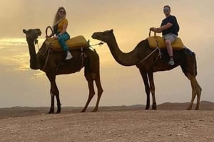 Marrakech: Agafay-öknen, kamelridning, solnedgång och middagsshow