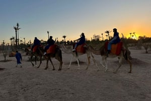 Marrakech Palmeraie kamelenrijden avontuur