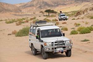 Marsa Alam: Wadi El Gemal National Park Jeep Tour & Dinner