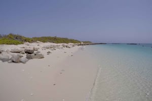 Muscat: Daymaniyat Islands Snorkeling Trip with QTours