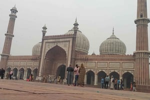Alt-Delhi: Tour mit Rikscha und Streetfood