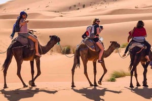 Sahara-eventyr: 3 dage fra Marrakech til Merzouga
