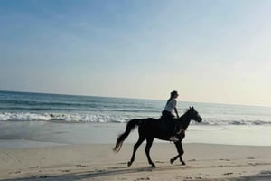 Salalah: aventura en camello, a caballo y en quad por la playa