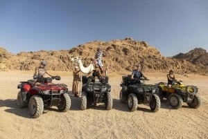 Sharm El Sheikh: Passeio de moto-quatro e safári no deserto com recolha