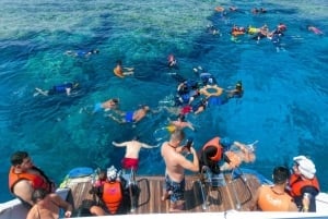 Sharm El-Sheikh: Cruzeiro, snorkel e mergulho na Ilha de Tiran com almoço