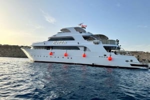 Sharm: Vip Snorkeling Cruise med international frokost