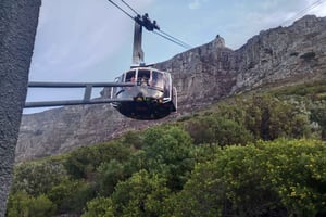 Table Mountain, Cape Point, and Penguins Shairing Group Tour
