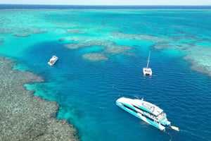 Townsville: Great Barrier Reef und MOUA Schnorchel-Tagestour