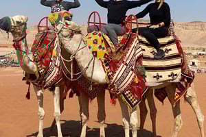 Dunes rouges VIP : chameau, quad, visite privative et café