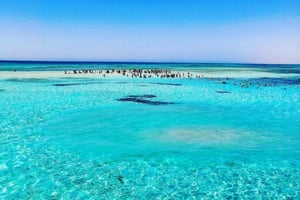 シャルム・エル・シェイク：ホワイトアイランド＆ラス・モハメド国立公園ボートツアー