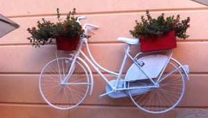 Alchimia wine bar & finger food