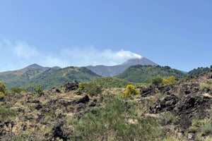 Catania: Etna-tur med lisensiert turguide, henting og avlevering