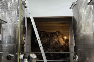 Catânia: Tour de Vinhos e Experiência Culinária no Etna