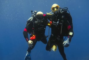 Catania: Gulf Scuba Diving Tour meribiologin kanssa.