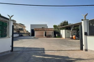 CINISI：オリーブオイルツアー - オリーブオイルの試飲とアペリティフ