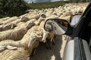 Entdecke das Dorf Marcatobianco und die Käseherstellung