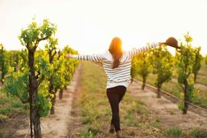 Etna Quad & Wijn Combo Privétour