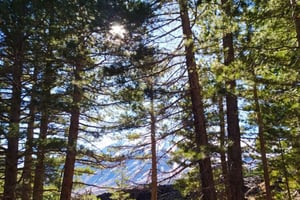 Etna-vandring, besøk i en lavatunnel, smaking av arancino