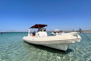 Favignana og øen Levanzo: Svømning, snorkling og frokost