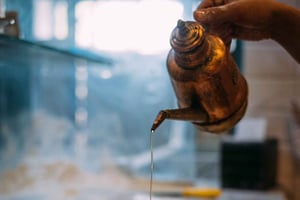 Trasteveren ruokakierros: Matka Rooman makuihin